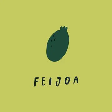 Vector simplified feijoa drawing, handwritten word Stock Illustration