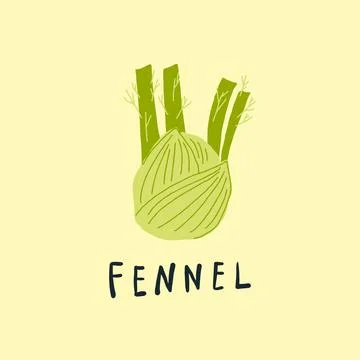 Vector simplified fennel drawing, handwritten word Stock Illustration