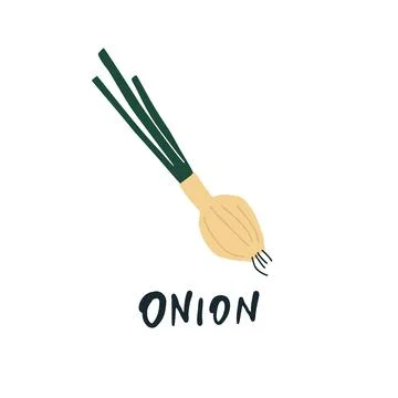 Vector simplified onion drawing, handwritten word Stock Illustration
