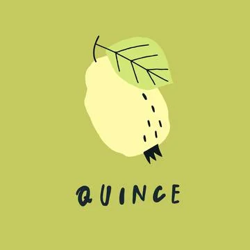 Vector simplified quince drawing, handwritten word Stock Illustration