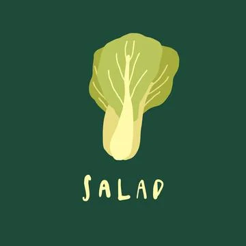 Vector simplified salad drawing, handwritten word Stock Illustration