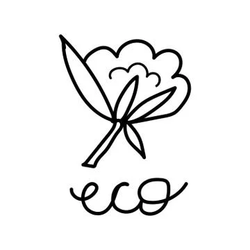 Vector single cotton. Ecological illustration doodle black line Illustrazione stock