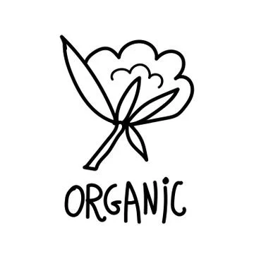 Vector single cotton. Ecological illustration doodle black line Stock Illustration