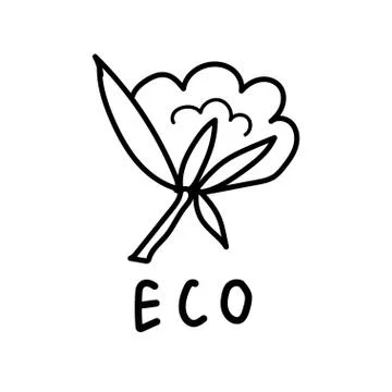 Vector single cotton. Ecological illustration doodle black line Stock Illustration