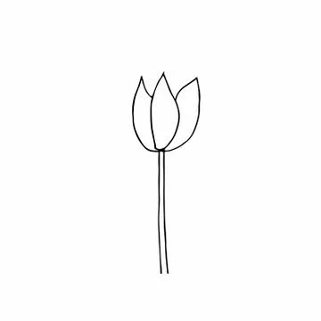 Vector single flower hand drawn. A simple illustration of a doodle Stock Illustration