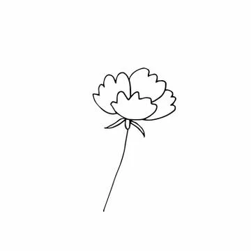 Vector single flower hand drawn. A simple illustration of a doodle Stock Illustration