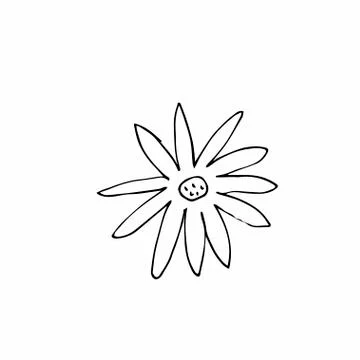 Vector single flower hand drawn. A simple illustration of a doodle Stock Illustration
