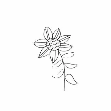 Vector single flower hand drawn. A simple illustration of a doodle Stock Illustration