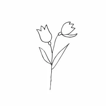 Vector single flower hand drawn. A simple illustration of a doodle Stock Illustration