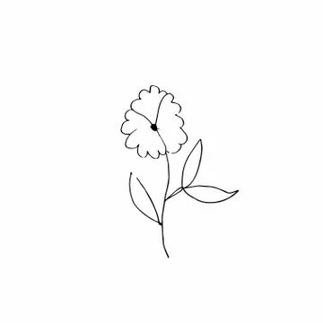 Vector single flower hand drawn. A simple illustration of a doodle Stock Illustration