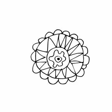 Vector single flower hand drawn. A simple illustration of a doodle Stock Illustration