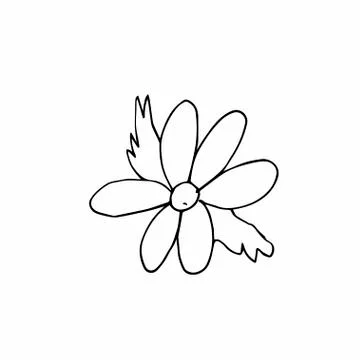 Vector single flower hand drawn. A simple illustration of a doodle Stock Illustration