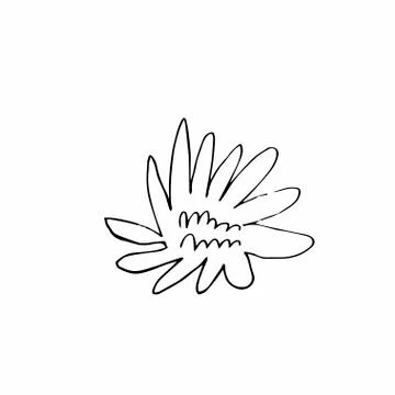 Vector single flower hand drawn. A simple illustration of a doodle Stock Illustration