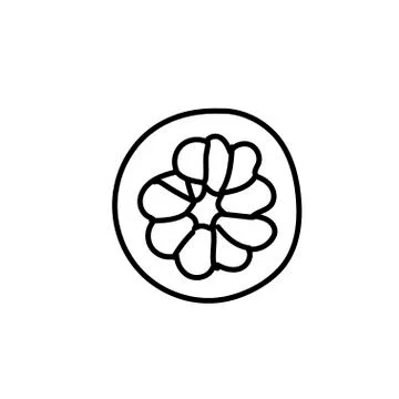 Vector single grapefruit.Ecological illustration doodle black line Stock Illustration