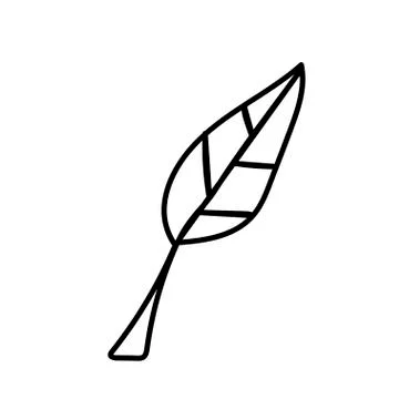 Vector single leaf of a plant. Ecological illustration doodle Stock Illustration