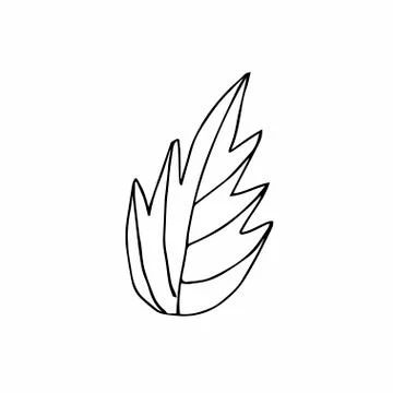 Vector single leaves hand drawn. A simple illustration of a doodle Stock Illustration