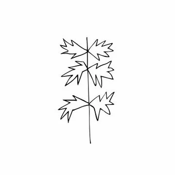 Vector single leaves hand drawn. A simple illustration of a doodle Stock Illustration