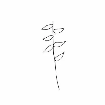 Vector single leaves hand drawn. A simple illustration of a doodle Stock Illustration