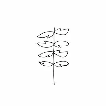 Vector single leaves hand drawn. A simple illustration of a doodle Stock Illustration