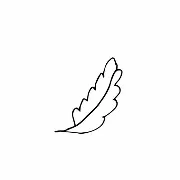 Vector single leaves hand drawn. A simple illustration of a doodle Stock Illustration