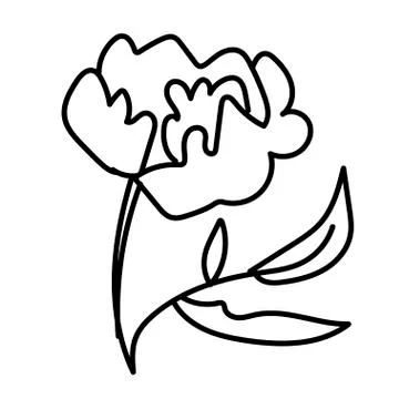 Vector single Peony. Botanical illustration doodle black line art Stock Illustration