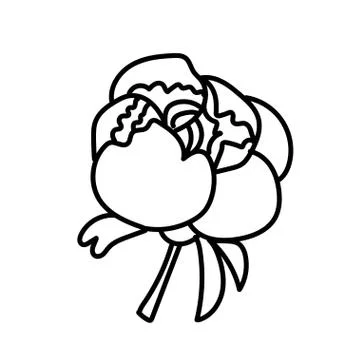 Vector single Peony. Botanical illustration doodle black line art Stock Illustration