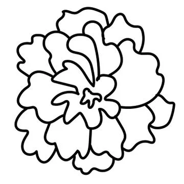 Vector single Peony. Botanical illustration doodle black line art Stock Illustration