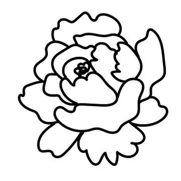 Vector single Peony. Botanical illustration doodle black line art Stock Illustration
