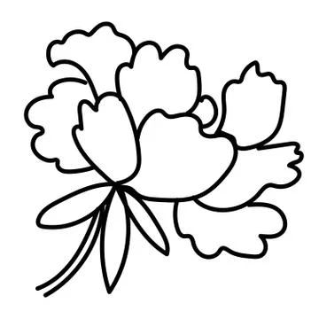 Vector single Peony. Botanical illustration doodle black line art Stock Illustration