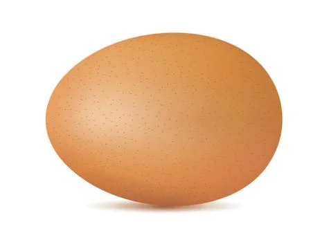 Vector single realistic animal egg. Chicken egg isolated with soft shadows Stock Illustration