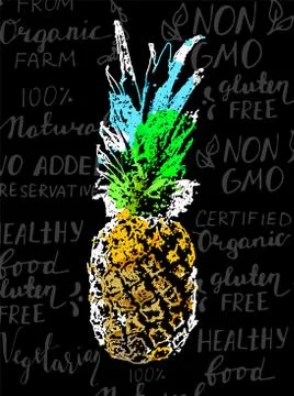 Vector Single Sketch Pineapple Stock Illustration
