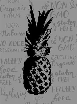Vector Single Sketch Pineapple Stock Illustration