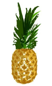 Vector Single Sketch Pineapple Stock Illustration