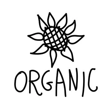 Vector single sunflower. Ecological illustration doodle black line Stock Illustration