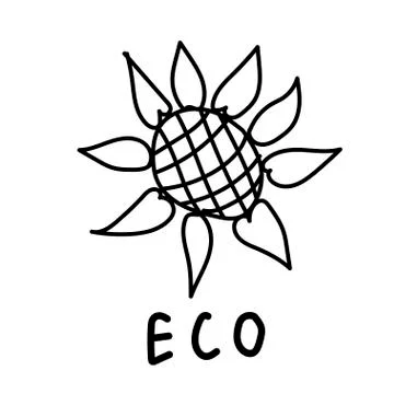 Vector single sunflower. Ecological illustration doodle black line Stock Illustration