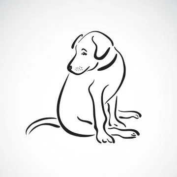 Vector of sitting dog(Labrador Retriever) on white background, Pet. Animals.  Stock Illustration