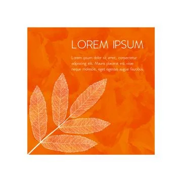 Vector skeletonized leaf Illustrazione stock