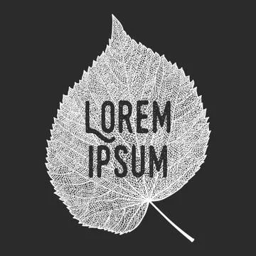 Vector skeletonized leaf with text Stock Illustration