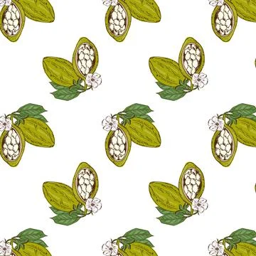 Vector sketch baobab beans - seamless pattern 库存插图