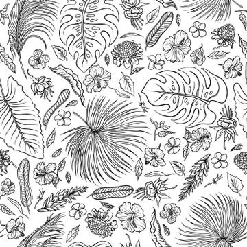 Vector sketch black and white set seamless pattern. The leaves of tropical Stock Illustration