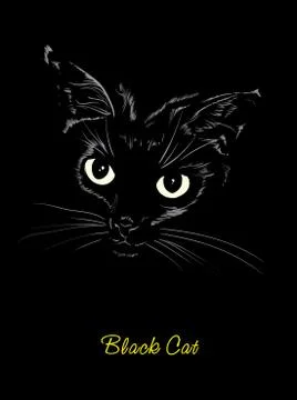 Vector sketch. Black cute kitty on a black background. Stock Illustration