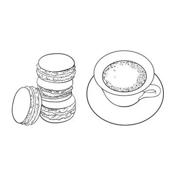 Vector sketch cap of mathca tea, macaroni Stock Illustration