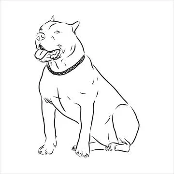 Vector sketch drawing pitbull barking pit bull terrier dog vector Illustrazione stock