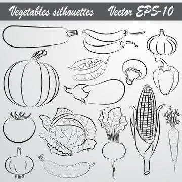 Vector sketch drawing set of vegetables Stock Illustration
