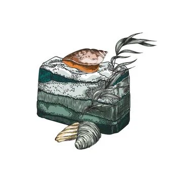 Vector sketch drawn by hand of natural handmade soap made of algae, decorated Illustrazione stock