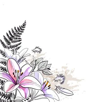 Vector sketch flower background card lily purple Stock Illustration