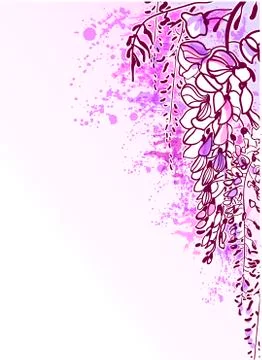 Vector sketch flower background card wisteria violet Stock Illustration