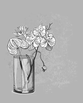 Vector sketch flower background card vase orchid anthurium lotus glass Stock Illustration