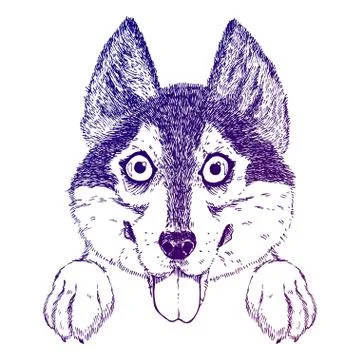 Vector sketch of funny husky or shepherd puppy Stock Illustration