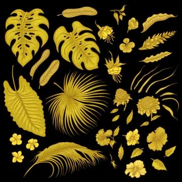 Vector sketch golden texture set of isolated elements. Gold shiny leave Stock-Illustration